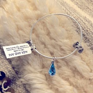 Alex and Ani limited edition Living Water charity by design charm bracelet